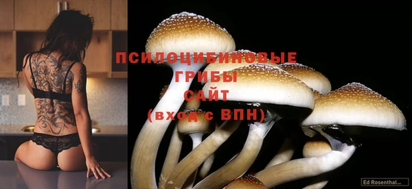 apvp Белоозёрский