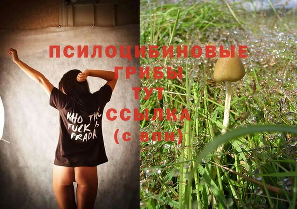 гашиш Белокуриха