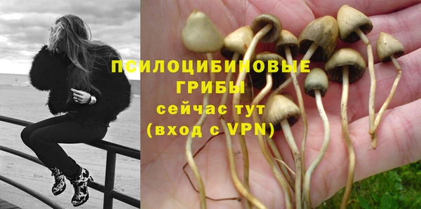 гашиш Белокуриха