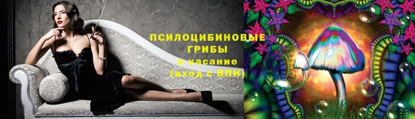 спиды Зеленокумск