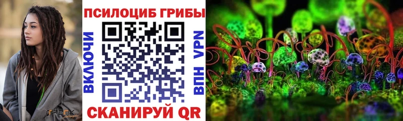 Псилоцибиновые грибы MAGIC MUSHROOMS  купить наркоту  Гремячинск 